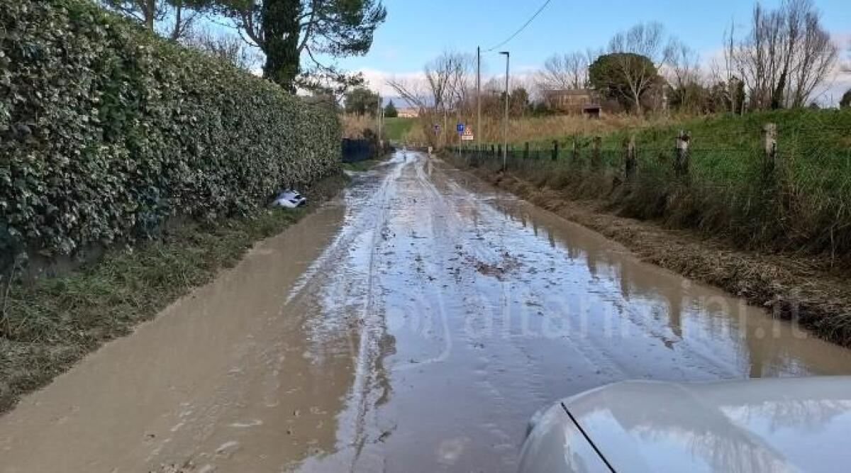 Maltempo a Riccione, albero pericolante in zona ferrovia e tante buche per le strade - Pontile San Lorenzo invaso dal fango. Nella gallery un albero caduto in una casa e un altro pericolante ai Giardini Montanari