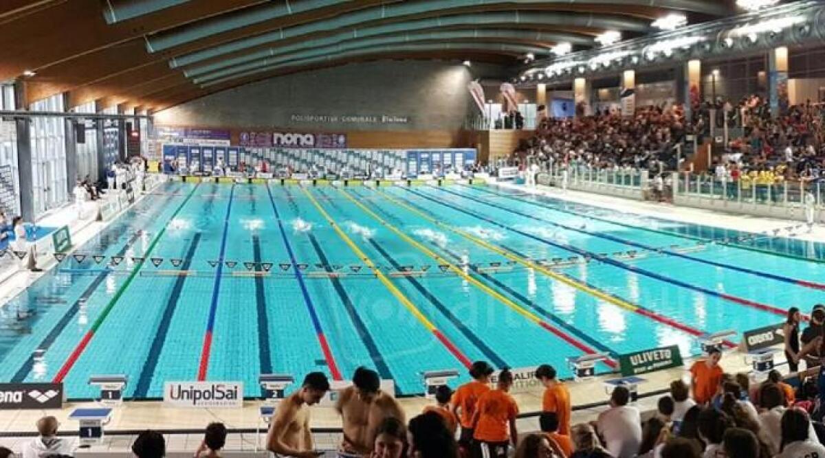 Riccione, le stelle del nuoto per il Trofeo Winter Edition - Immagine di repertorio