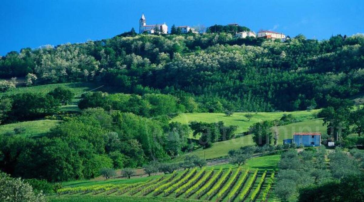 Terre del Conca: la Valconca unita per potenziare l'offerta turistica - Il panorama di Gemmano