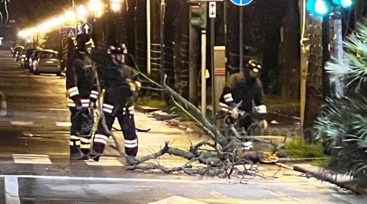Maltempo, super lavoro per i vigili del fuoco: oltre 125 interventi a Rimini - Squadra mentre interviene per rimuovere un grosso ramo in strada