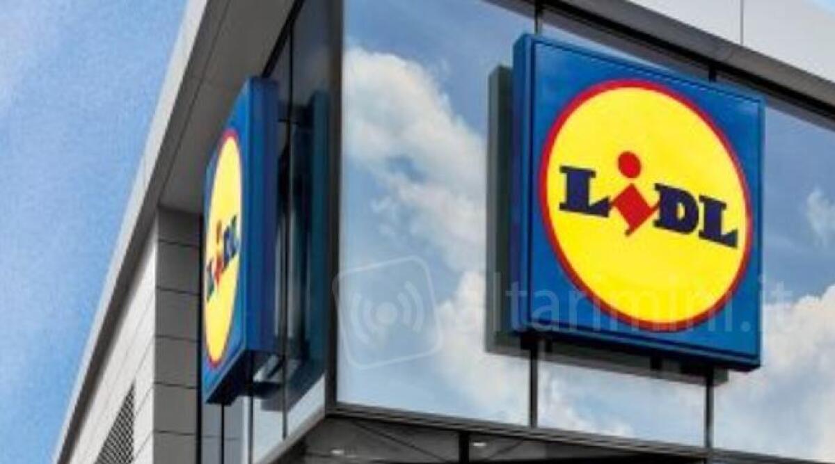 Un nuovo Lidl aprirà a Cattolica, lavori quasi ultimati - Archivio