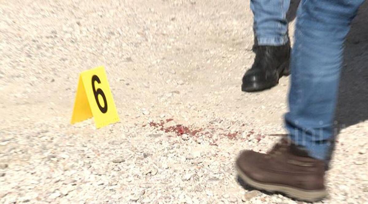 Rimini: sparatoria Ina Casa, proseguono le indagini in merito alle armi - I rilievi della polizia scientifica