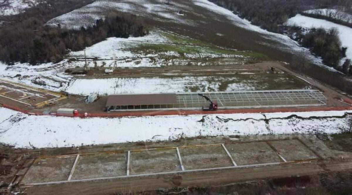 Polli e cantieri, la Lav punta il dito: "Colpa di un sistema alimentare crudele" - Cantieri già avviati in località Cavallara