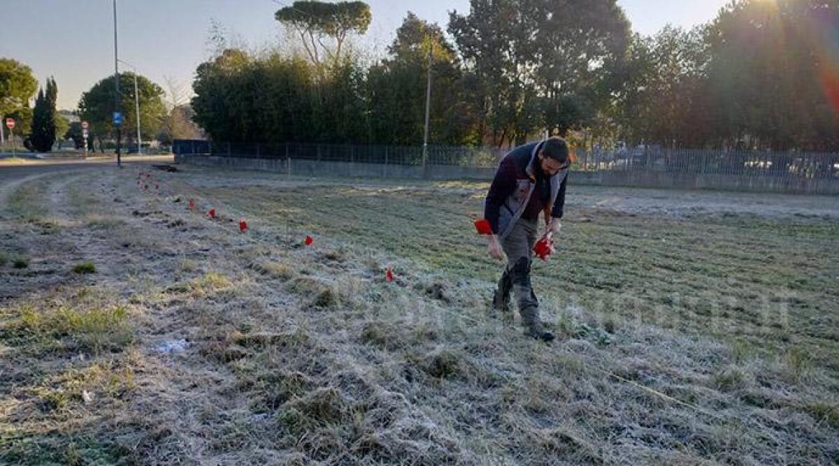 A Riccione un bosco contro l'inquinamento dell'A14 - Area progetto riforestazione di viale Trebaci