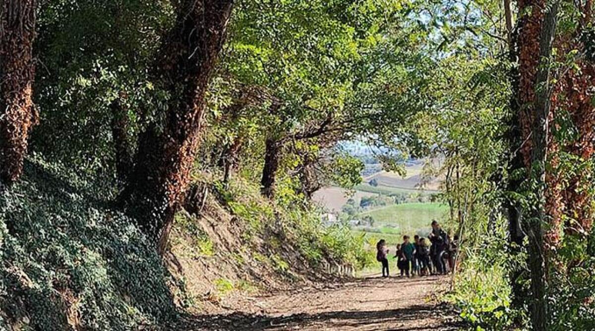 Asilo abusivo: il Consiglio di Stato conferma l&rsquo;ordinanza di chiusura da parte del Comune - Le Giuggiole