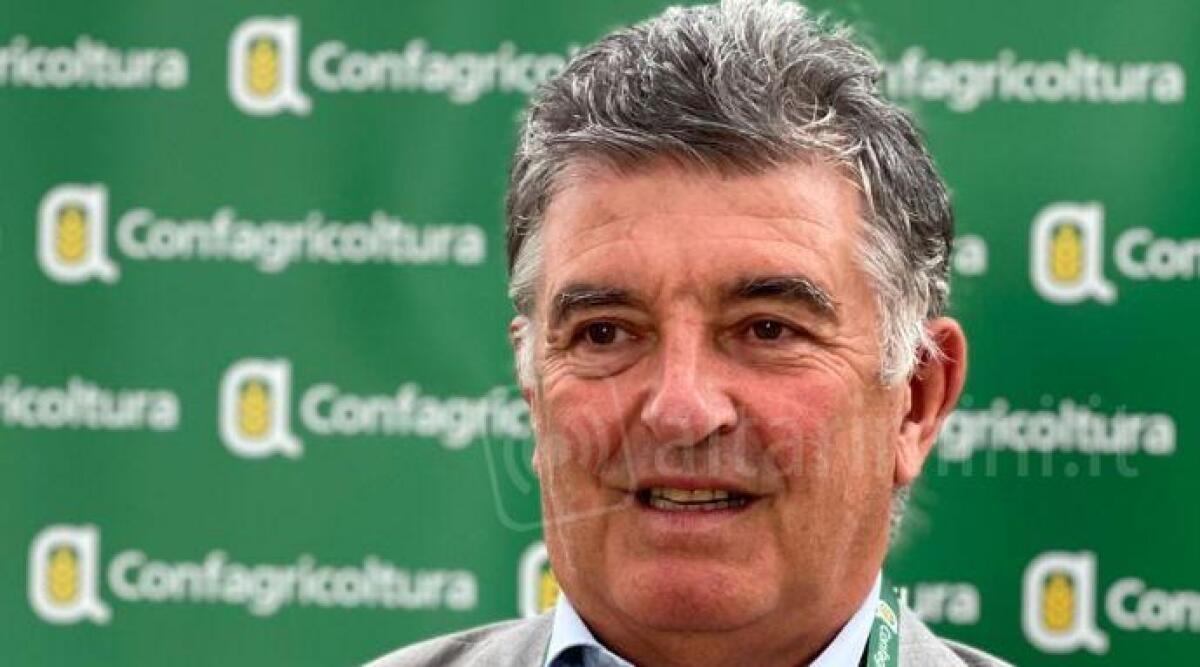 Rimini, sprechi alimentari: pi&ugrave; controlli ed educazione anche nelle scuole - Carlo Carli presidente Confagricoltura Forl&igrave;-Cesena e Rimini