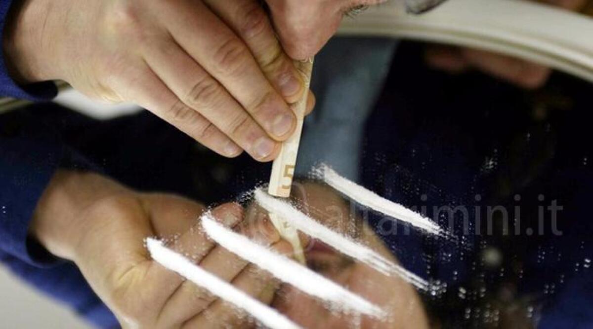 Cocaina nascosta anche nelle canne fumarie, maxi sequestro. Cinque arresti - 13 indagati