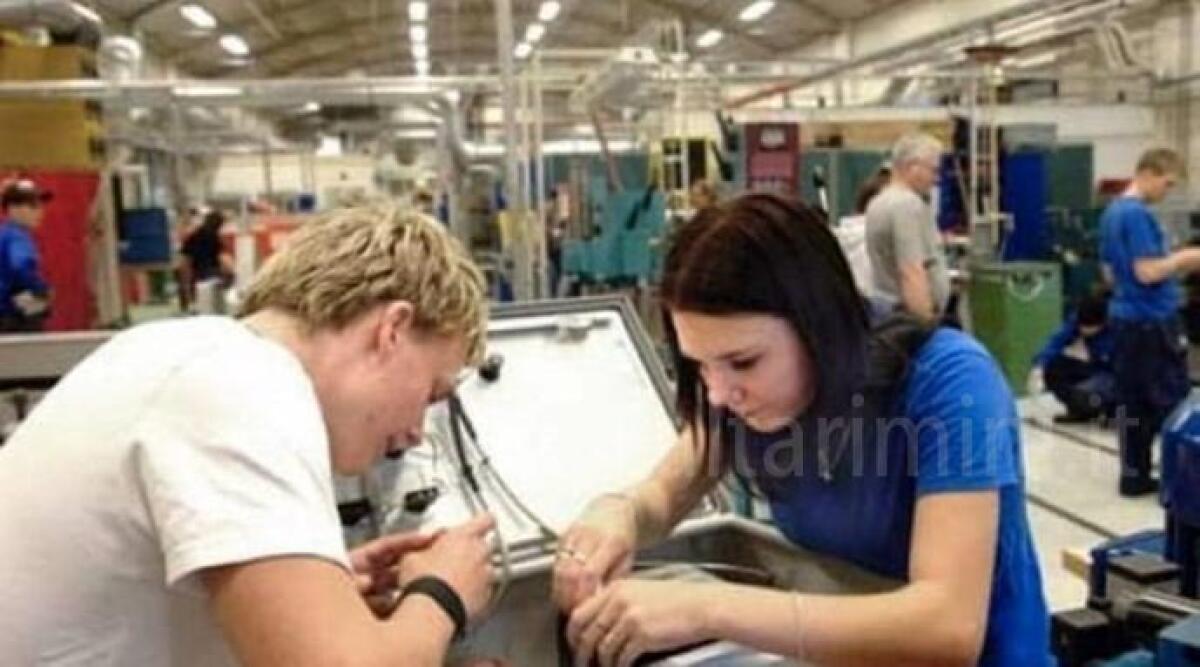 Imprese, lo studio: crescono nel 2022 le aziende in Romagna - Foto di repertorio