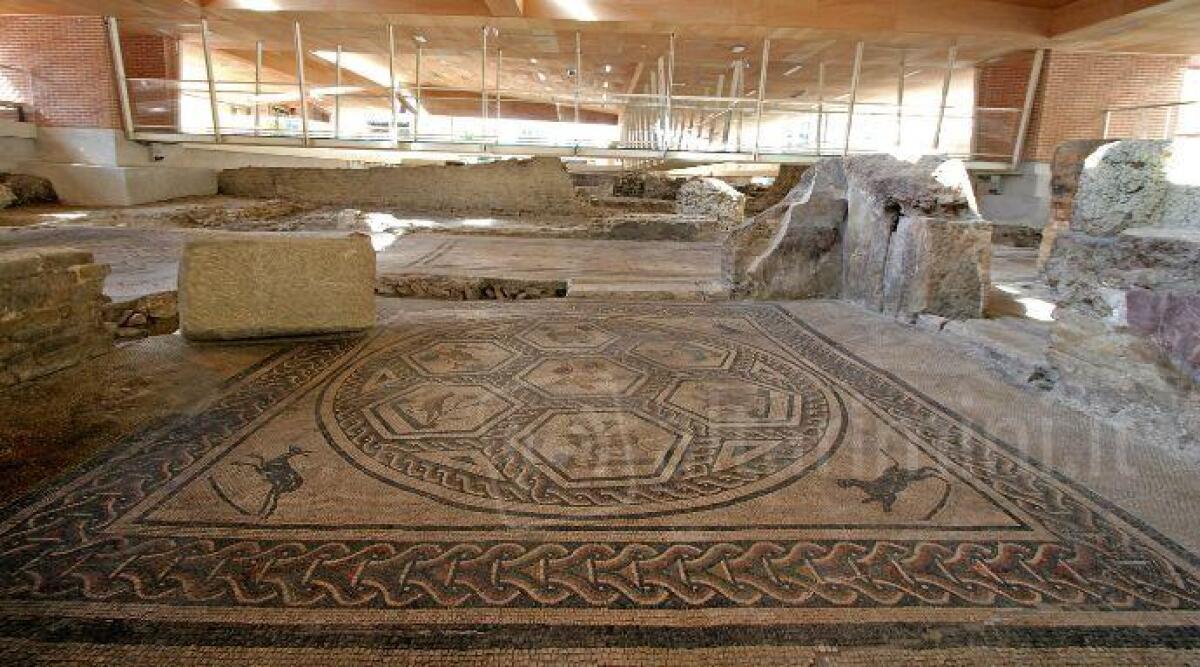 A Rimini tante mostre e visite guidate nel primo weekend di febbraio - Domus del Chirurgo
