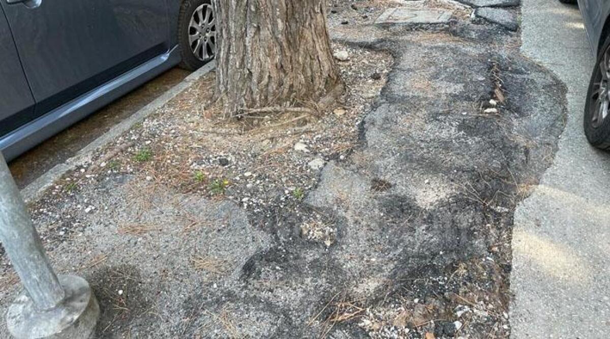 Cattolica: nuovi marciapiedi in via Toscana, ma tagliati i pini. &Egrave; polemica - I marciapiedi prima dell'intervento di riqualificazione