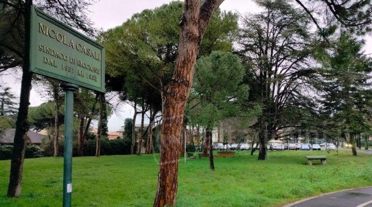 Riccione, test di stabilit&agrave; per i pini marittimi vicino al municipio - Una delle zone interessate dai controlli