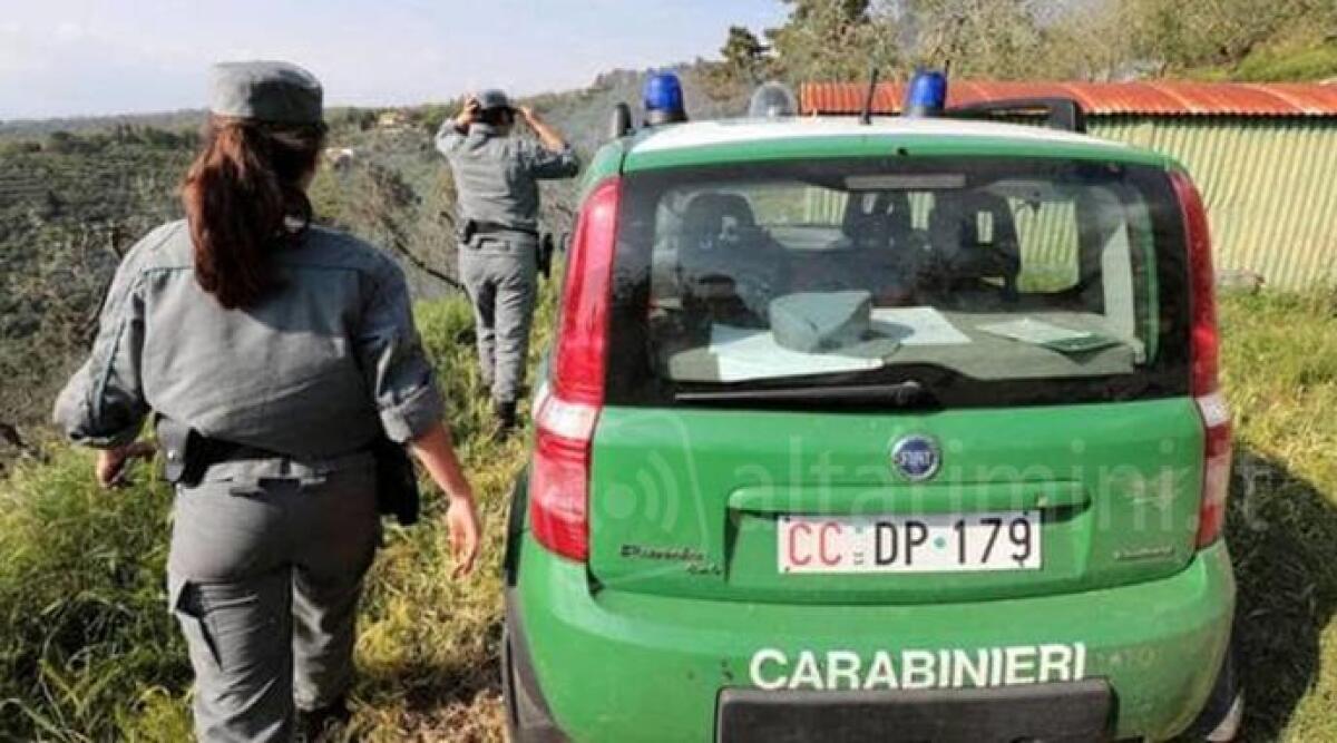 Traffico di rifiuti nelle Marche, coinvolte tre ditte con sede legale a Rimini - Immagine di repertorio