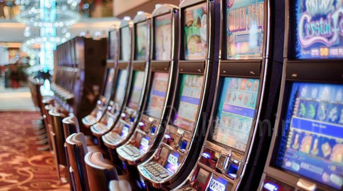 Incontri con gli studenti e uno sportello ad hoc: le azioni in campo contro la ludopatia - Slot Machines ARCHIVIO