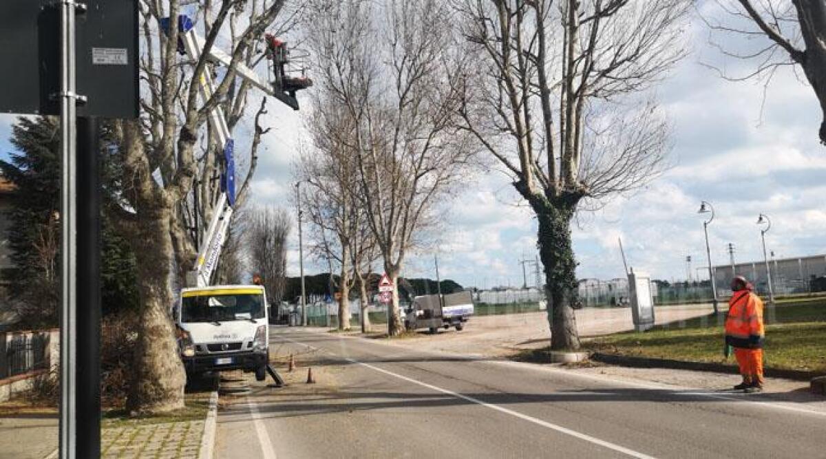 Bellaria Igea Marina, in corso le potature e la manutenzione del verde - Potature in via Ennio