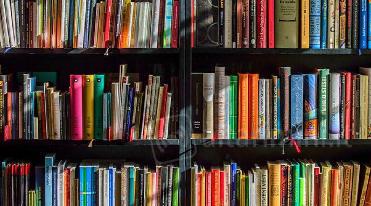 Biblioteca Gambalunga, torna la rassegna dedicata agli autori del territorio - Foto di repertorio