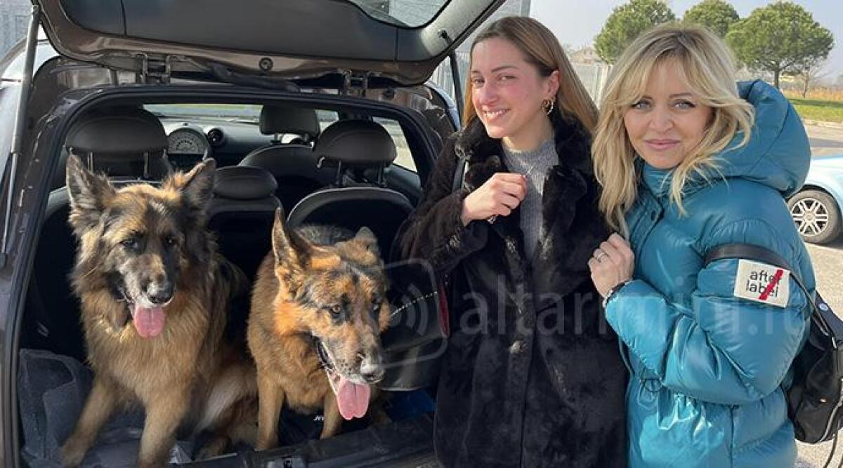 Eroe per caso: ragazza ferma la 'scappatella' imprudente dei due cani in autostrada - I cani Bruce ed Hellas insieme ad Eleonora e Roberta
