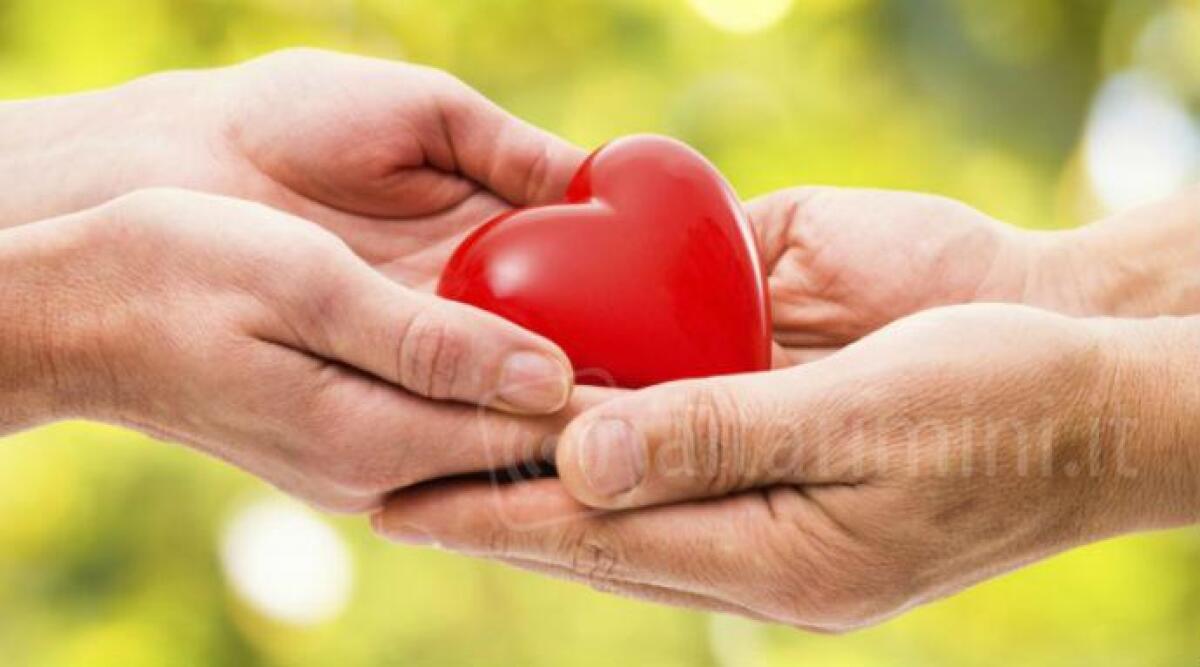 Nasce a Bellaria Adob Romagna, associazione per la Donazione di Organi e il dono Biologico - Immagine di repertorio