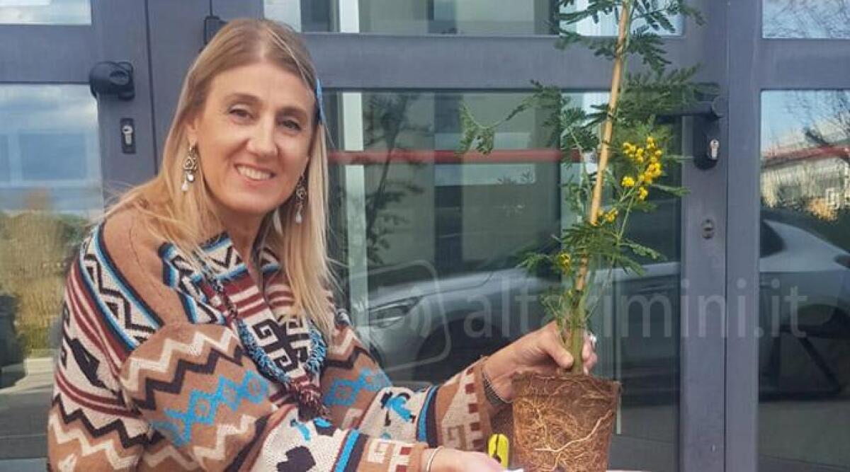 Finestra Donna 2023: successo di partecipazione al primo incontro dedicato alle imprenditrici riminesi - La presidente del Gruppo Terziario Donna della provincia di Rimini