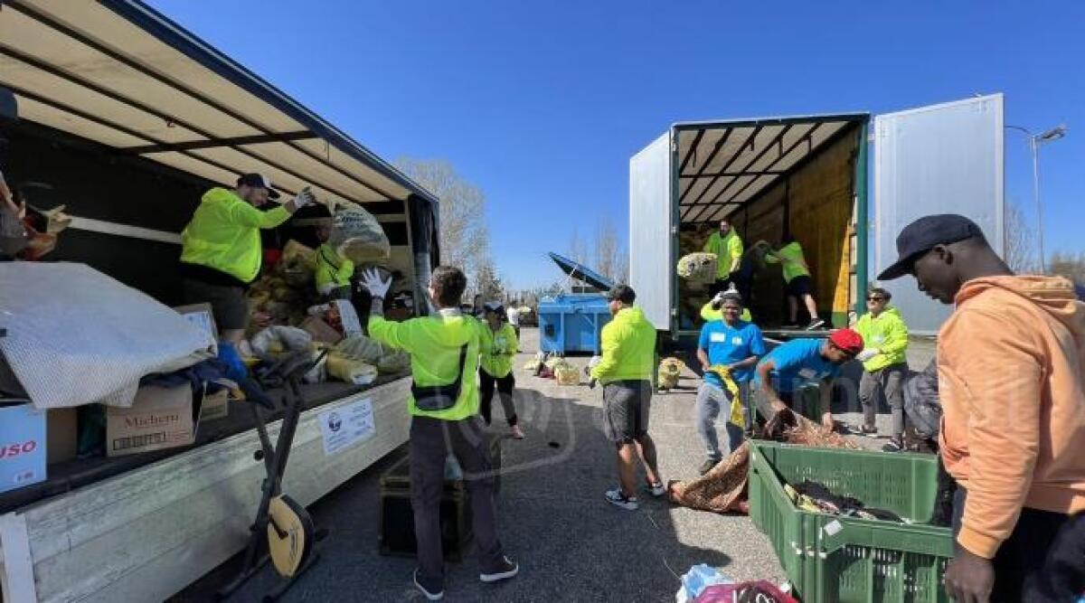 Campo Lavoro Missionario 2023: grande successo per la raccolta che ha coinvolto tutta la Diocesi - Campolavoro 2023