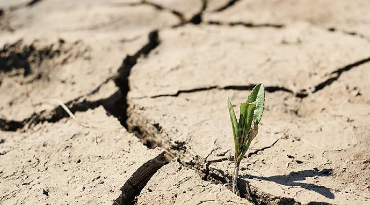 Siccità, nel riminese è ancora crisi: falde, -49% - Foto di repertorio