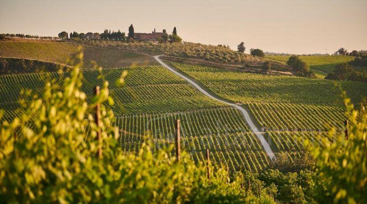 Turismo e benessere: le tendenze del 2023 -