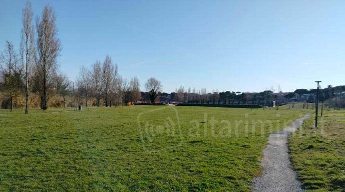 Riccione, una palestra a cielo aperto al Parco degli Olivetani: il Comune cerca fondi - Parco degli Olivetani