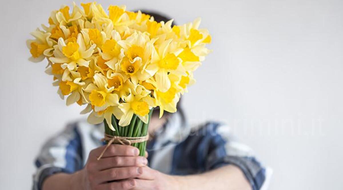 Il Riminese celebra l'8 marzo: eventi e manifestazioni in onore delle donne - Foto di repertorio