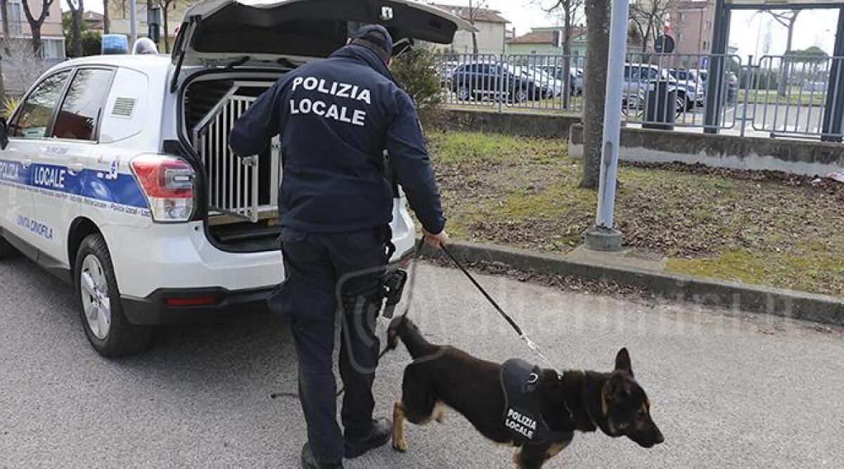 Spacciatore in zona Anfiteatro Romano, nascondeva l'hashish nei vestiti - Polizia Locale di Rimini ARCHIVIO