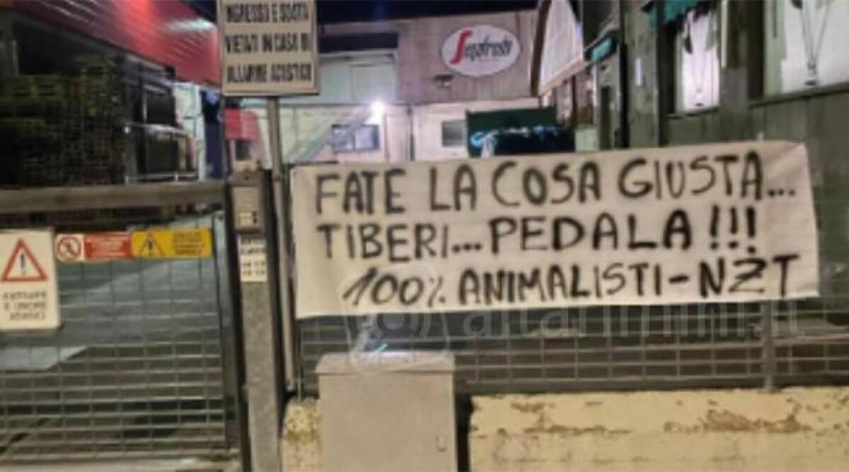 Protesta animalista contro il reintegro del ciclista che ha ucciso un gatto - Lo striscione davanti allo stabilimento della Segafredo