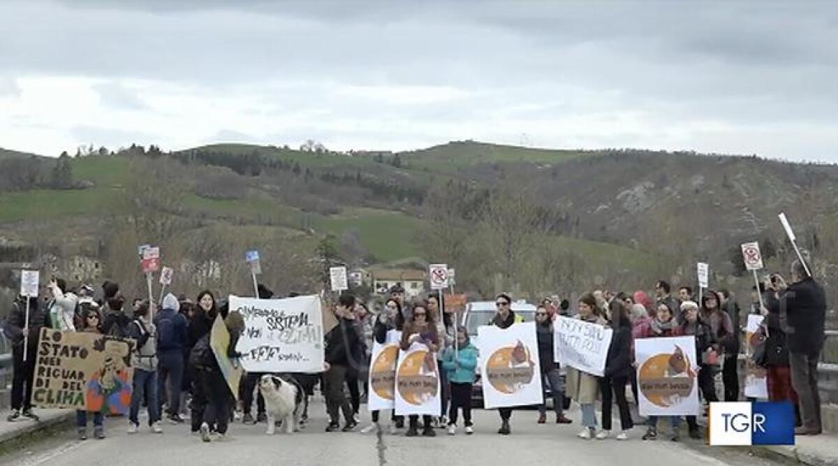 Raccolte 75mila firme per fermare l'allevamento di polli. Chiesto il supporto tramite donazioni - Un momento della protesta