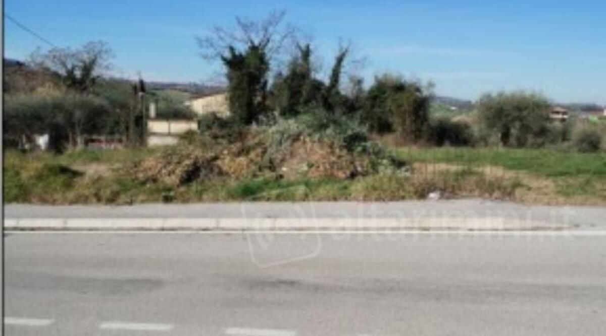 Coriano, potature abbandonate in zone periferiche 'serve uno spazio idoneo' - Una zona con sfalci abbandonati