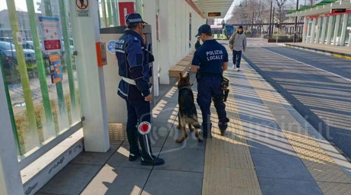 Rimini, più sicurezza alle fermate del Metromare con più agenti a presidio - Polizia Locale