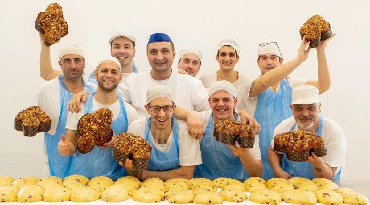 San Patrignano: dopo un anno di studi arriva una nuova colomba al cioccolato - I ragazzi con la nuova colomba