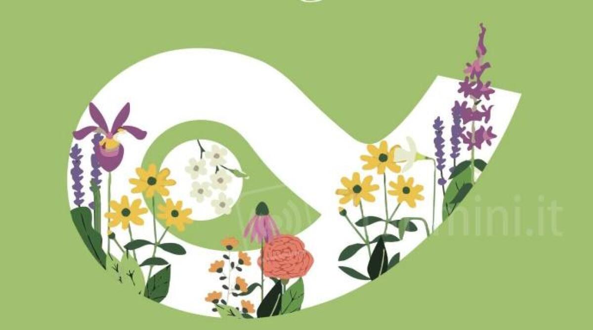 Cattolica in fiore, ‘svelato’ il manifesto dell'edizione 2023 - Cattolica in Fiore 2023