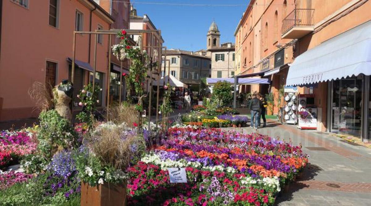 Santarcangelo, rivoluzione 'Balconi Fioriti': stessa formula ma con tante novità - Foto dalle precedenti edizioni di Balconi Fioriti