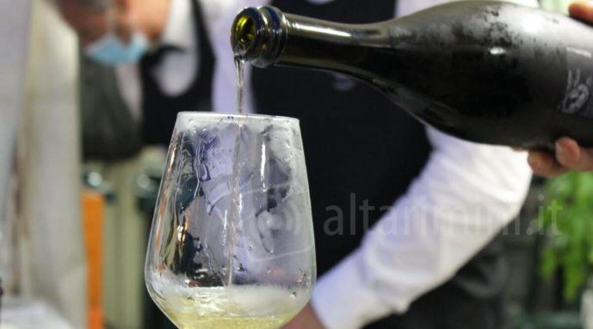 I sommelier di Ais Romagna premiano un vino riminese a 'Esperienze di Vitae' - Immagine di repertorio