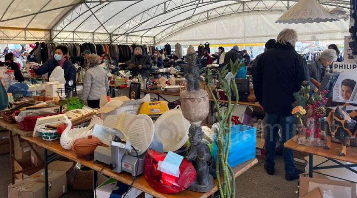 Torna il Campo Lavoro, la grande raccolta di materiali usati a sostegno dei poveri - Campo Lavoro (repertorio)