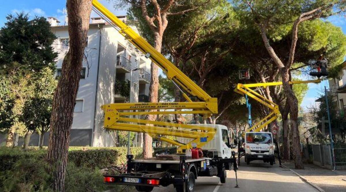 Riccione, quasi 1500 alberi potati dagli operatori di Geat - Alcune potature a Riccione