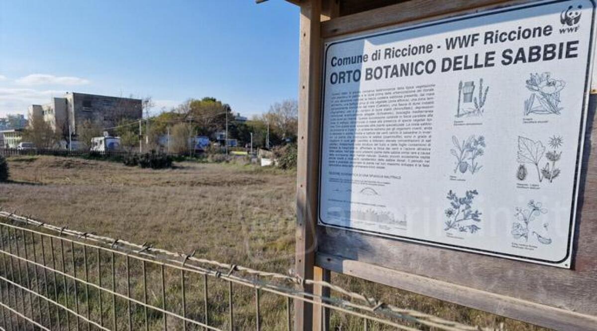 Riccione, l'orto botanico delle sabbie affidato in gestione alla Fondazione Cetacea - Orto botanico delle sabbie di Riccione