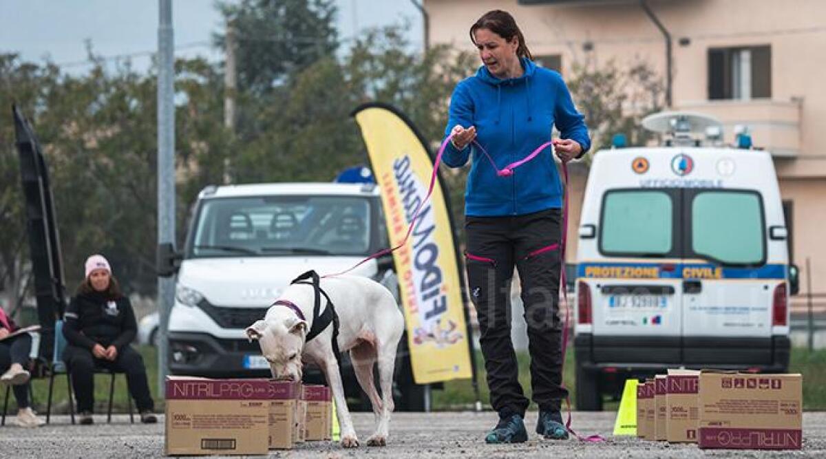 Fiuto, ricerca e precisione: a Misano si valuta l'olfatto canino con il Campionato italiano di Nosework - L'istruttrice di Nosework Serena Giorgetti