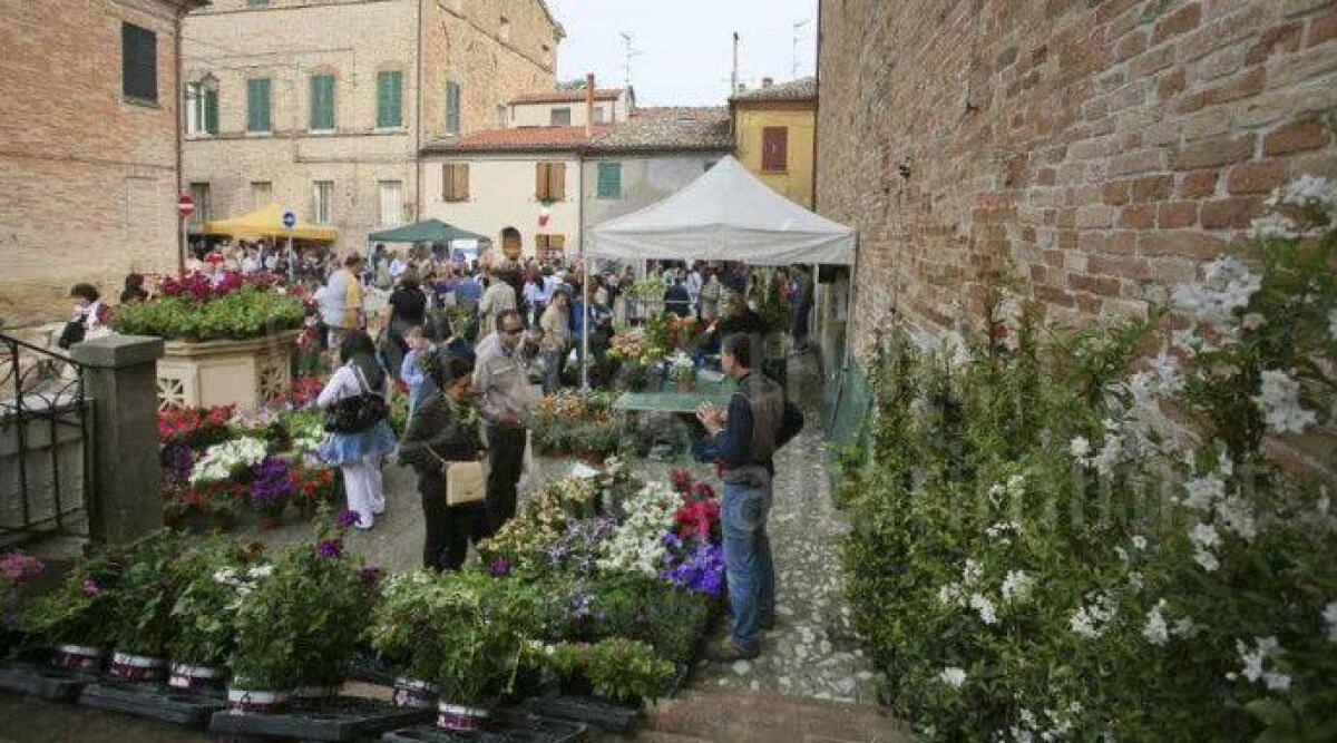 Saludecio, torna Saluserbe da sabato 22 a martedì 25: tanti eventi dedicati al verde, ai fiori e alla natura -