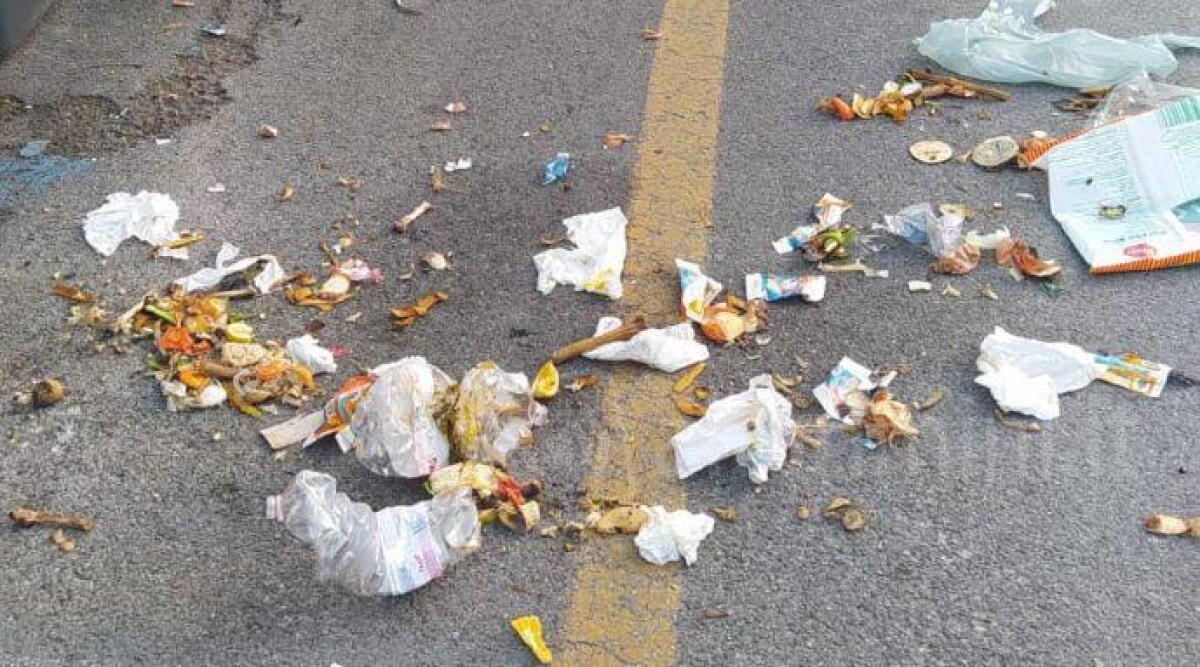 Rimini, immondizia abbandonata fuori dai cassonetti e i gabbiani fanno festa. La segnalazione - Immondizia abbandonata in via Matteotti - nella gallery via Andromeda