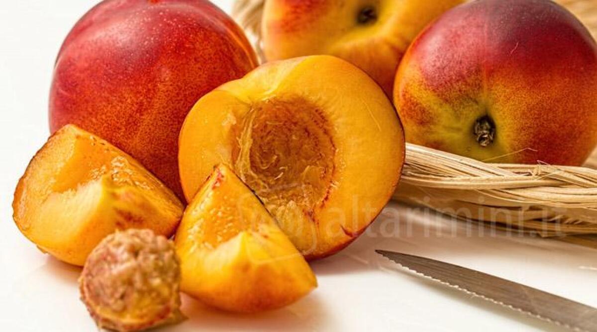 Buffet della frutta a scuola: la novità per l'Isola Blu di Rimini - Archivio