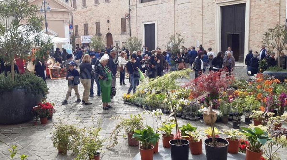 Il maltempo non 'guasta' Saluserbe: migliaia di presenze all'evento di Saludecio -