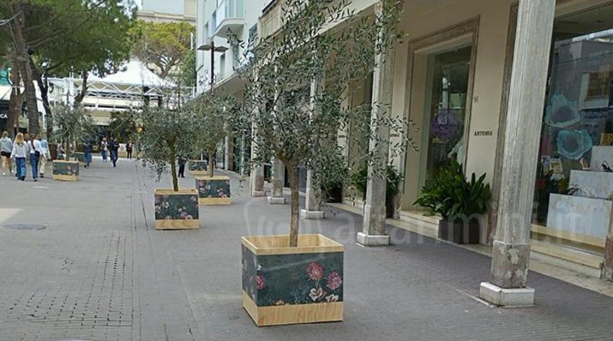 Riccione, una Pasqua che non convince. Paolini (FdI): &quot;Weekend dall'aria funerea&quot; - Ulivi in viale Ceccarini