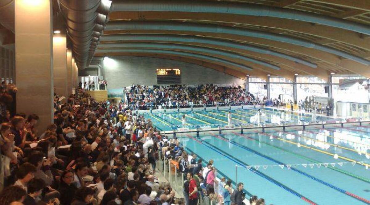 I campioni del nuoto nella Perla Verde per gli Assoluti di Riccione - Immagine di repertorio