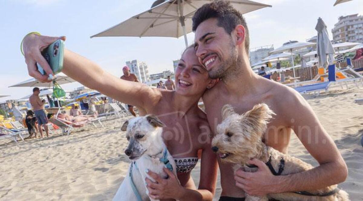 In spiaggia con il cane, le regole e le spiagge 'dog-friendly' di Rimini - Rimini spiaggia pet friendly