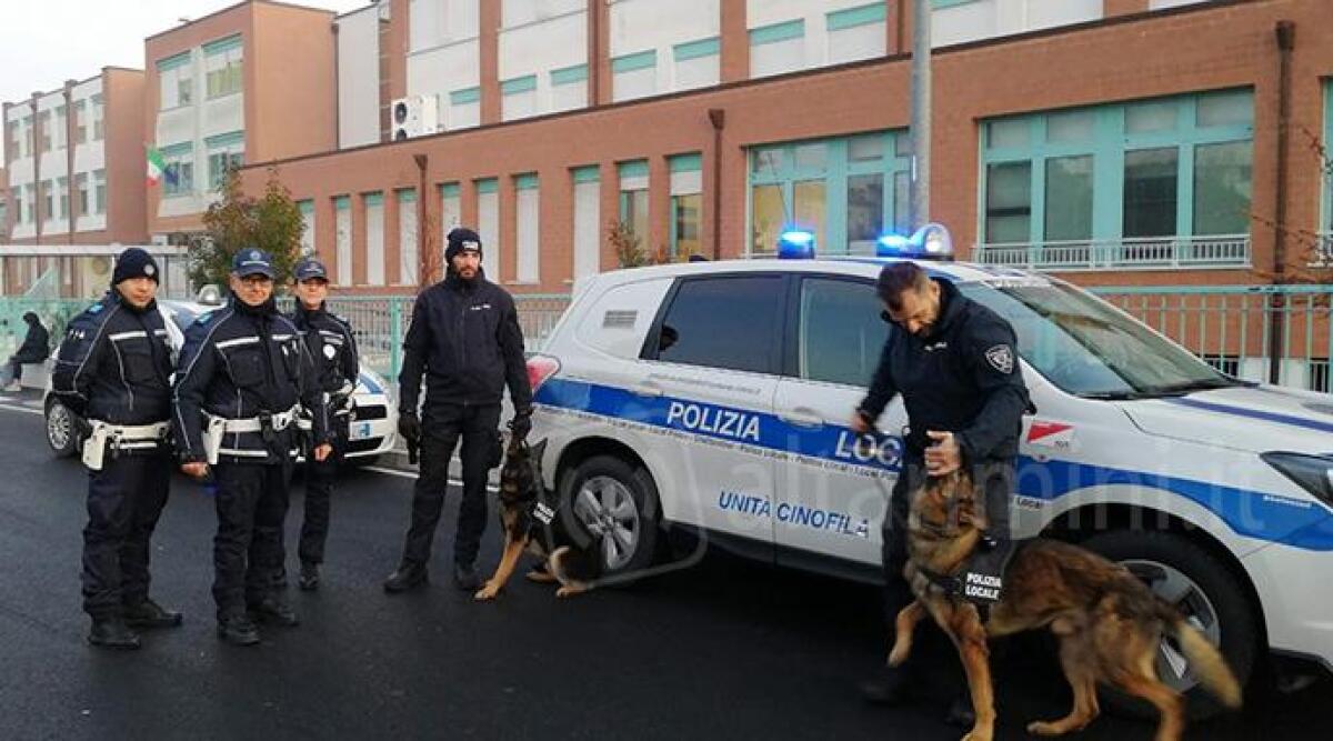 Arrestato "Nonno Cocaina": il passato criminale torna a bussare alla porta del 76enne - Foto di repertorio