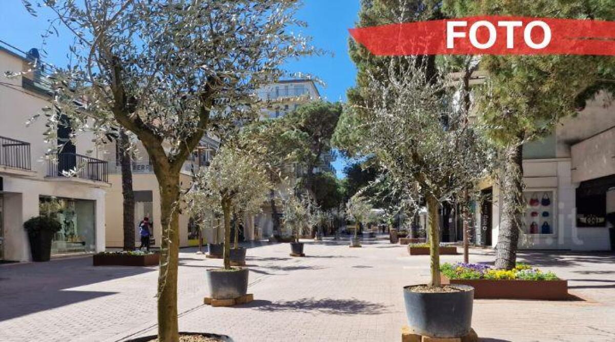 Un sentiero 'verde' verso l'azzurro del mare: viale Ceccarini si trasforma - Allestimenti botanici di viale Ceccarini e nuovo arredo urbano per i Giardini dell'Alba