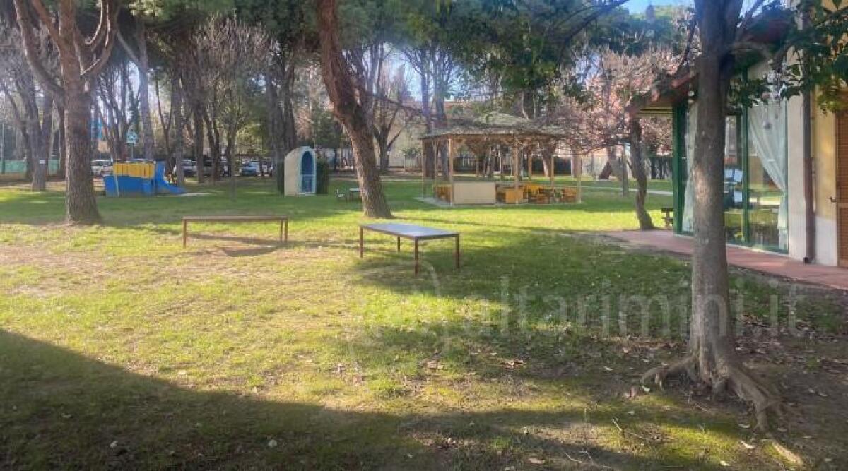 Riccione, centri estivi nelle scuole d'infanzia: definiti criteri e tariffe - Asilo Ceccarini